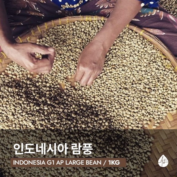 [생두] 인도네시아 람풍 자이언트 빈 1kg